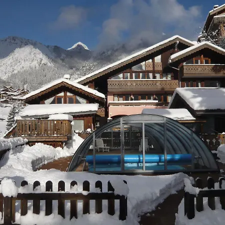 Résidence Les Edelweiss La Plagne