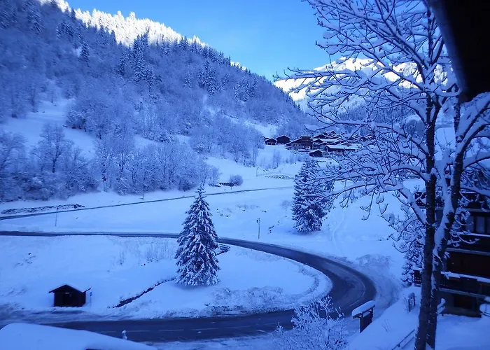 Résidence Les Edelweiss Casa vacanze *