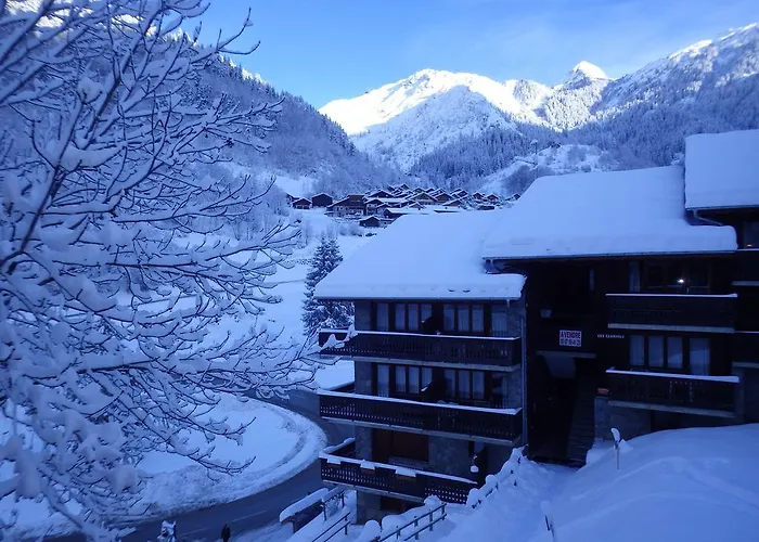 Résidence Les Edelweiss Casa vacanze La Plagne